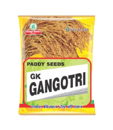 Gangotri 6 kg - Savannah