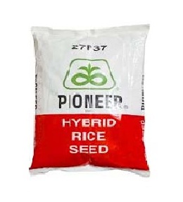 27p37 3kg - Pioneer