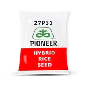 27p31 3kg - Pioneer