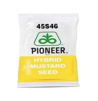 45s41 3Kg - Pioneer