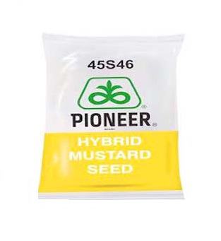45s46 3kg - Pioneer