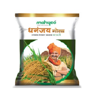 Dhananjay 5407 3kg - Mahyco Seeds