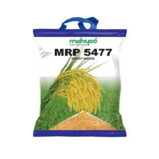 MRP-5477 3kg - Mahyco Seeds