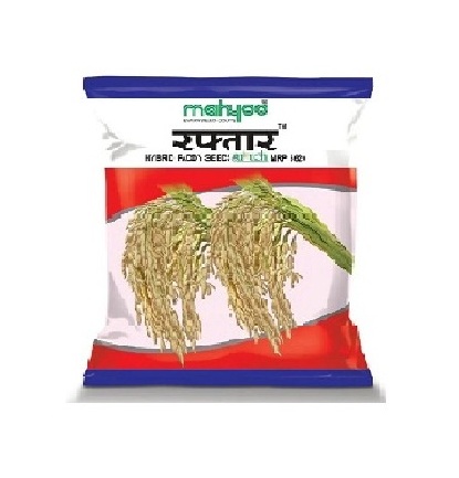 Suruchi Raftar MRP-5629 3kg - Mahyco Seeds
