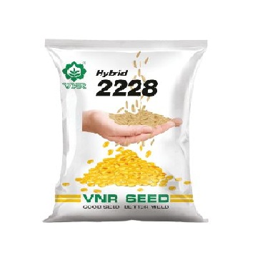 Hybrid 2228 - VNR Seeds