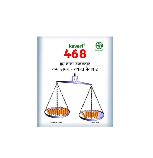 468 1kg - Kaveri Seed