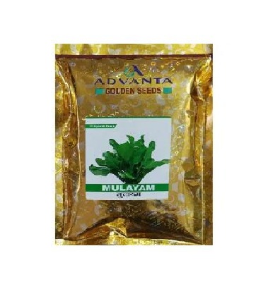 Palak Hyb Mulayam 50gm - Advanta