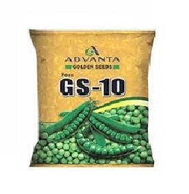 Pea GS-10 1kg - Advanta