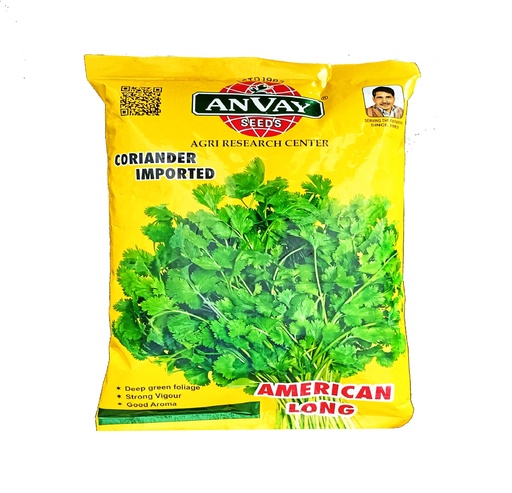 Coriander Imported 500gm - Anvay
