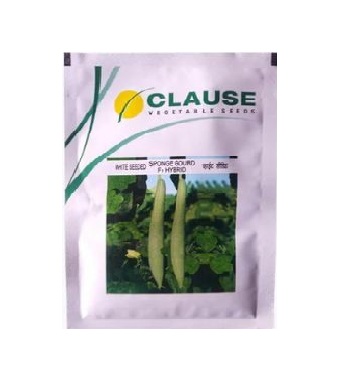 Spongegourd 100gm - Clause