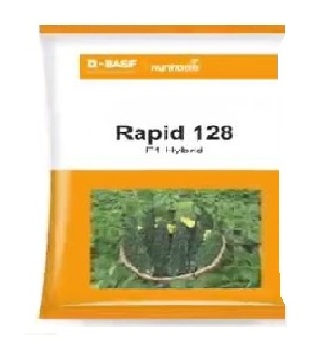 Bittergourd Rapid 100nos - Numhems