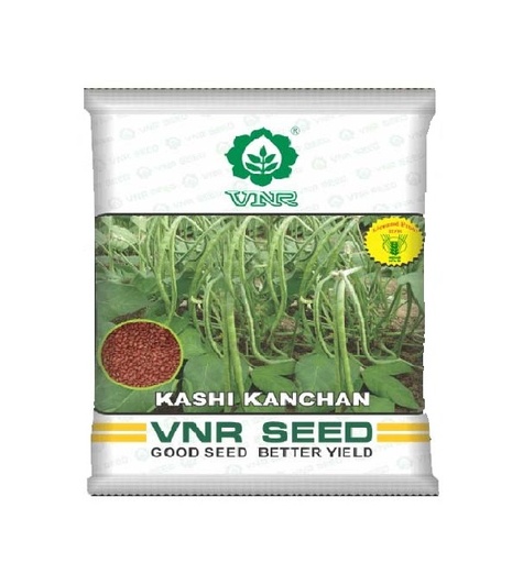 Bora Kashi Kanchan 500gm - VNR Seeds