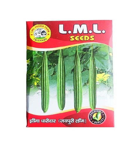 Ridgegourd Arro Dharidar 250gm - LML Seeds