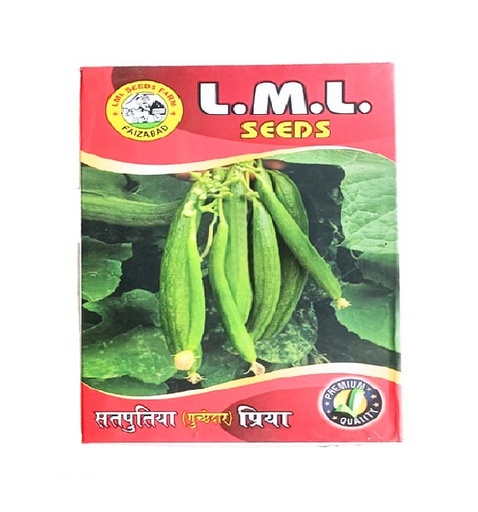 Ridgegourd Satputia 100gm - LML Seeds