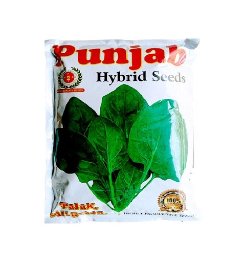 Palak All Green Sadabahar 500gm - Punjab
