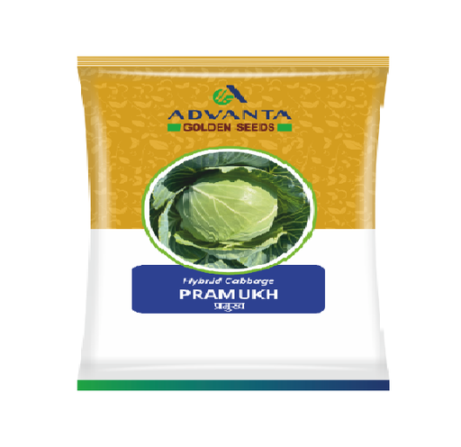 Cabbage Pramukh 10gm - Advanta
