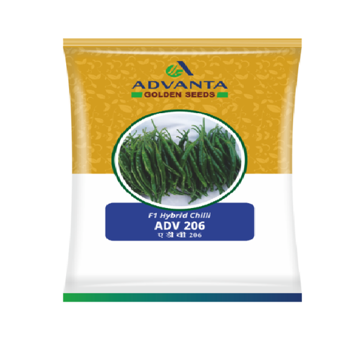 Chilli ADV-206 10gm - Advanta