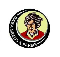 Baba Seeds & Farms