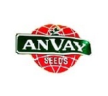 Anvay Seeds Pvt Ltd