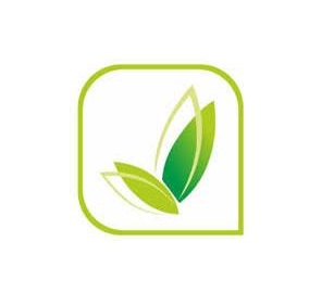 Balaji Quality Seeds - Wheat Seeds