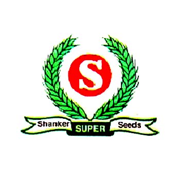 Shankar Seeds Pvt Ltd - Wheat Seeds