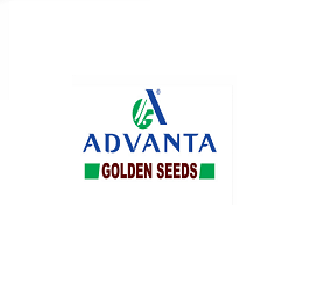 Advanta Enterprises Limited